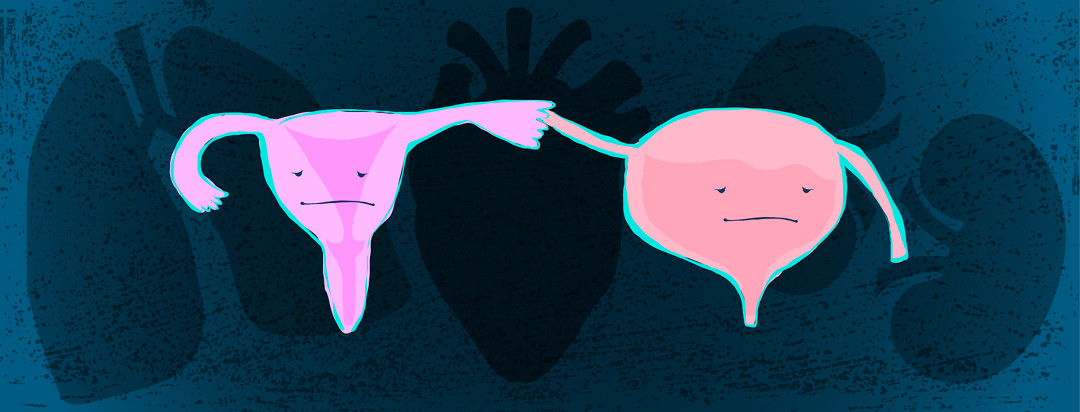 An abstract inside look at the body, with the uterus holding hands with the bladder, and neither of them happy about it and sadly looking in opposite directions (while silhouettes of the other organs float in the background).