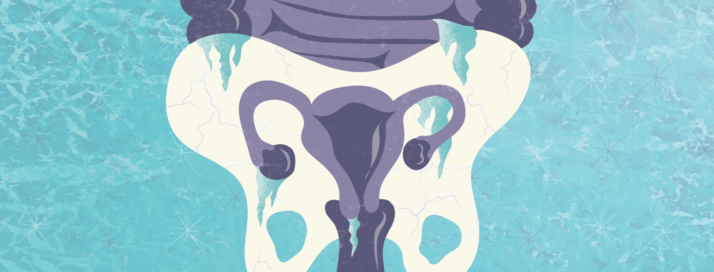 the pelvis and the organs around it with ice, snowflakes, and icicles