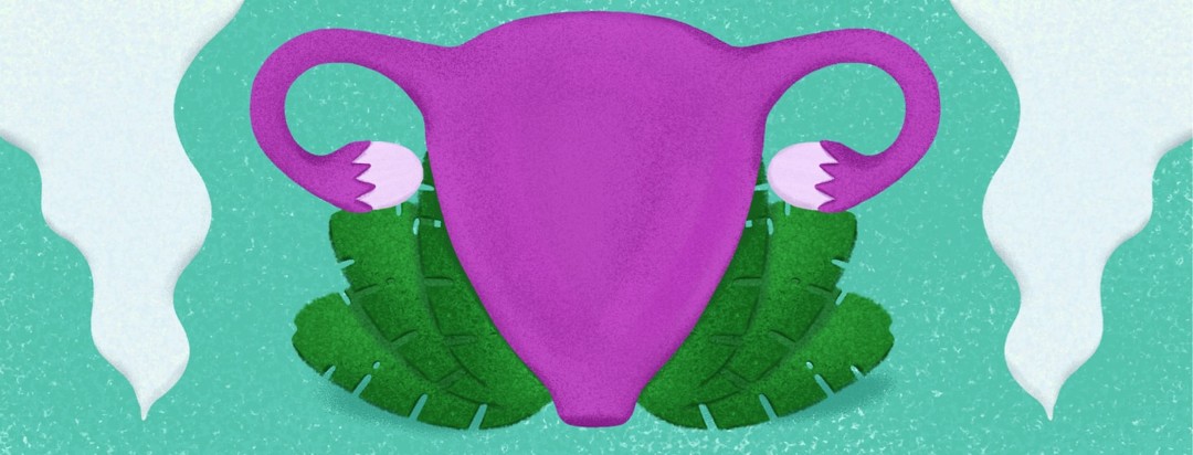 a uterus resting on herb leaves flanked by steam