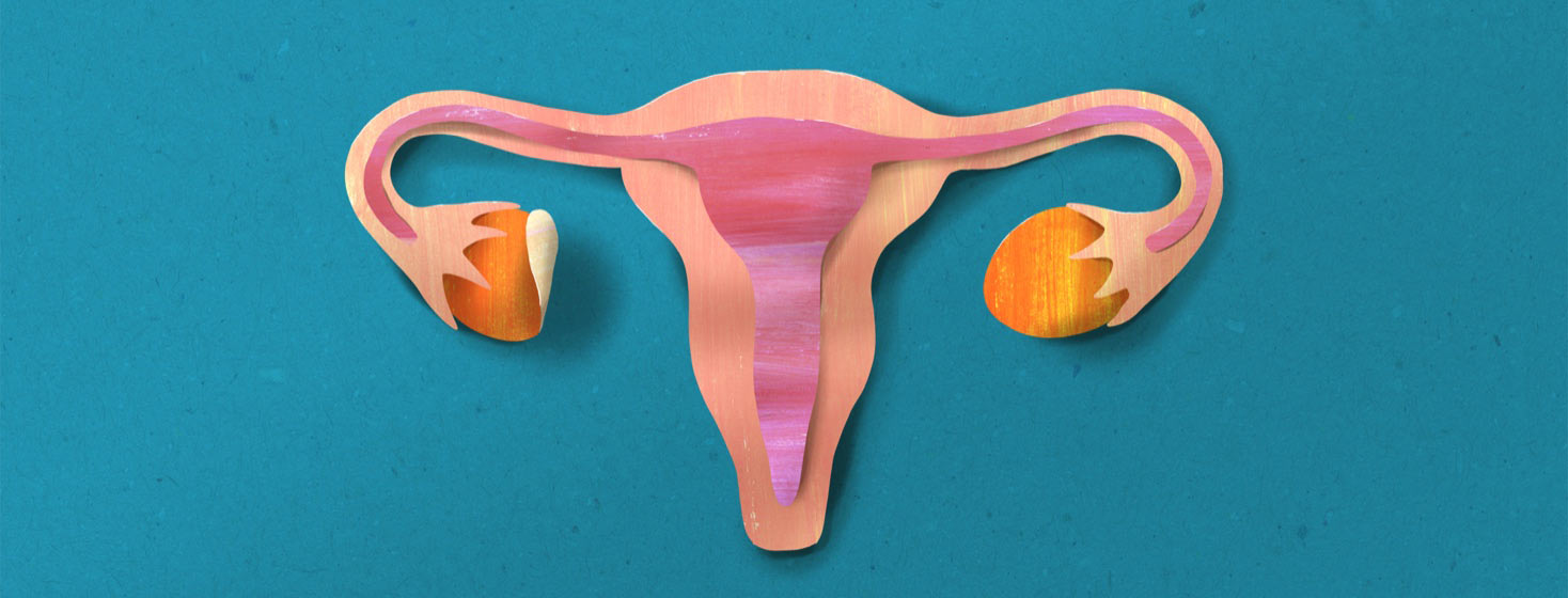 A paper cut illustration of a female reproductive system with an ovary being lifted away