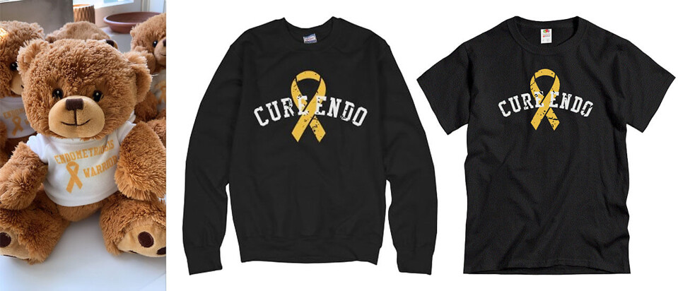 Endometriosis warrior teddy bear, Cure Endo t-shirt, and Cure Endo sweatshirt