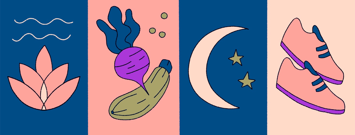 Icons representing sleep, exercise, stress management and diet