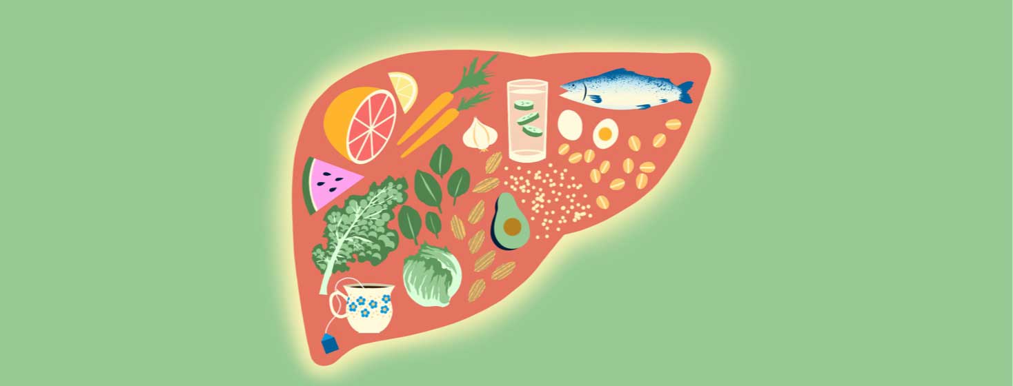 a liver filled with healthy foods